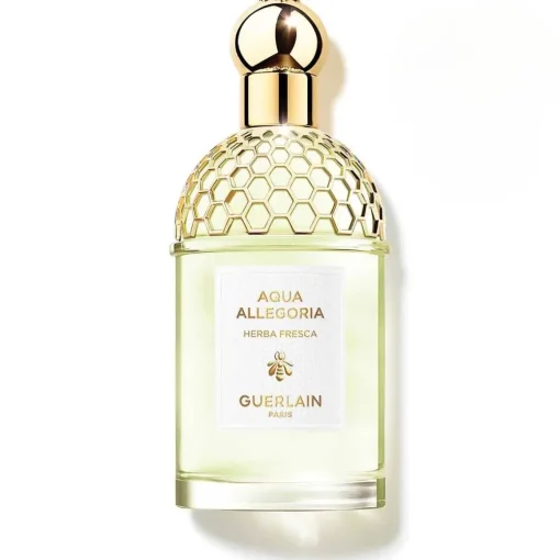 Guerlain - Aqua Allegoria Herba Fresca - Eau de toilette