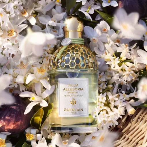 Guerlain - Aqua Allegoria Harvest Nerolia Vetiver - Eau de Toilette Vaporisateur 125 ml