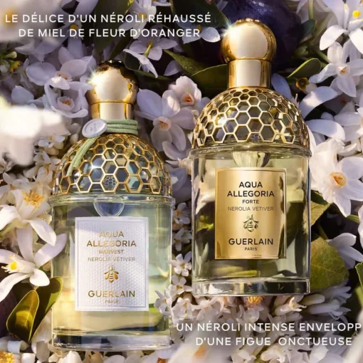 Guerlain - Aqua Allegoria Harvest Nerolia Vetiver - Eau de Toilette Vaporisateur 125 ml