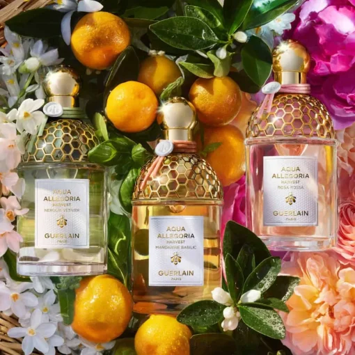 Guerlain - Aqua Allegoria Harvest Nerolia Vetiver - Eau de Toilette Vaporisateur 125 ml