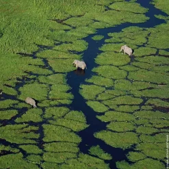 Guerlain - Aqua Allegoria Rosa Verde - Eau de toilette Recharge 200 ml