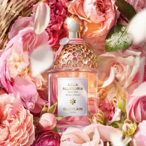 Guerlain - Aqua Allegoria Harvest Rosa Rossa - Eau de Toilette Vaporisateur 125 ml