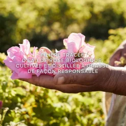 Guerlain - Aqua Allegoria Harvest Rosa Rossa - Eau de Toilette Vaporisateur 125 ml