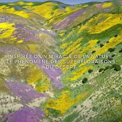 Guerlain - Aqua Allegoria Forte Florabloom - Eau de Parfum