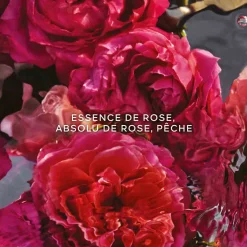 Guerlain - Aqua Allegoria Forte Rosa Rossa - Eau de Parfum