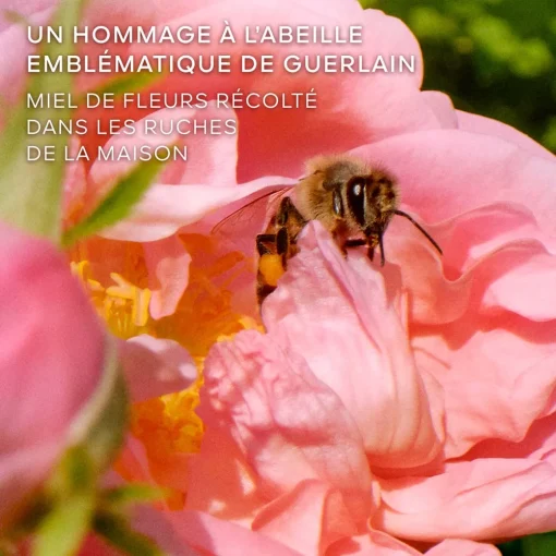 Guerlain - La Petite Robe Noire Honey Rose - Eau de Parfum