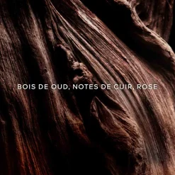 Guerlain - LES ABSOLUS ALLEGORIA - Oud Essentiel Eau de Parfum 125 ml