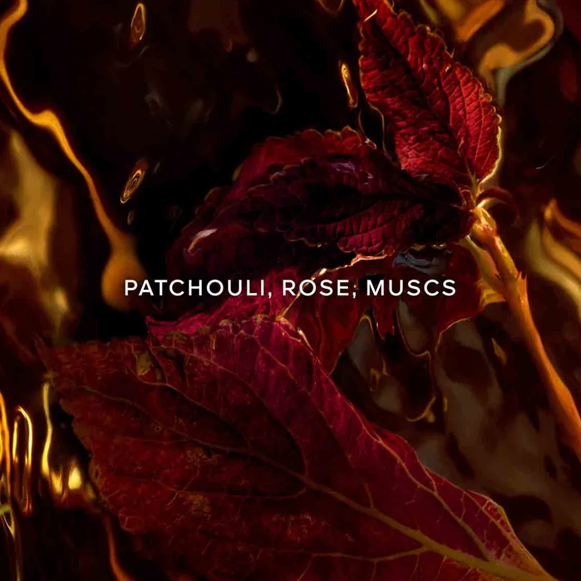 Guerlain - LES ABSOLUS ALLEGORIA - Patchouli Ardent Eau de Parfum 125 ml