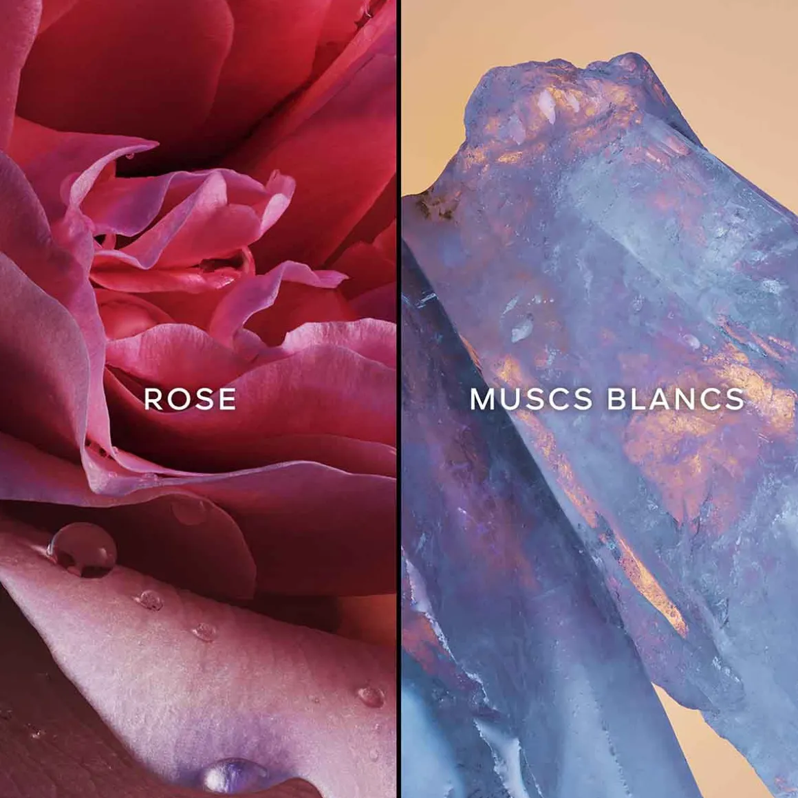 Guerlain - L'Instant Magic - Eau de Parfum