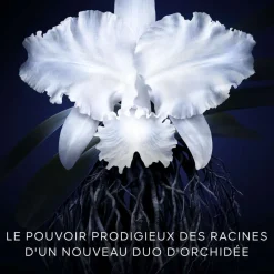 Guerlain - Orchidée Impériale - Recharge Crème 50 ml