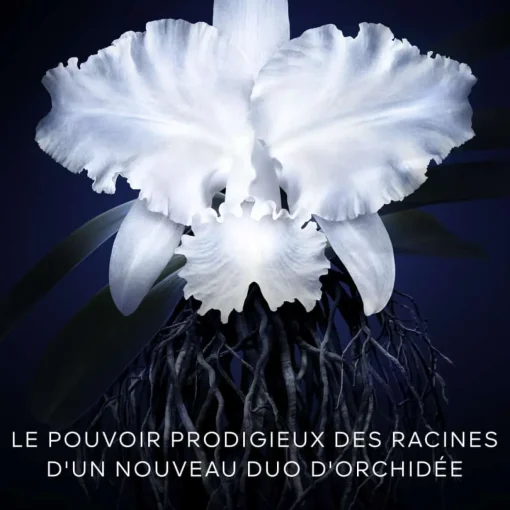 Guerlain - Orchidée Impériale - Recharge Crème 50 ml
