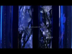 Guerlain - Orchidée Impériale - Recharge Crème 50 ml