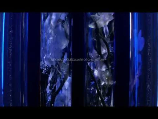 Guerlain - Orchidée Impériale - Recharge Crème 50 ml