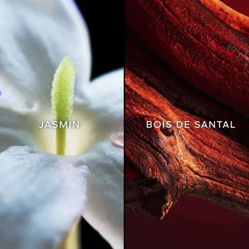 Guerlain - Samsara - Eau de Parfum
