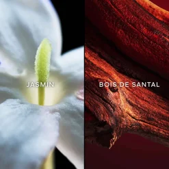 Guerlain - Samsara - Eau de Toilette