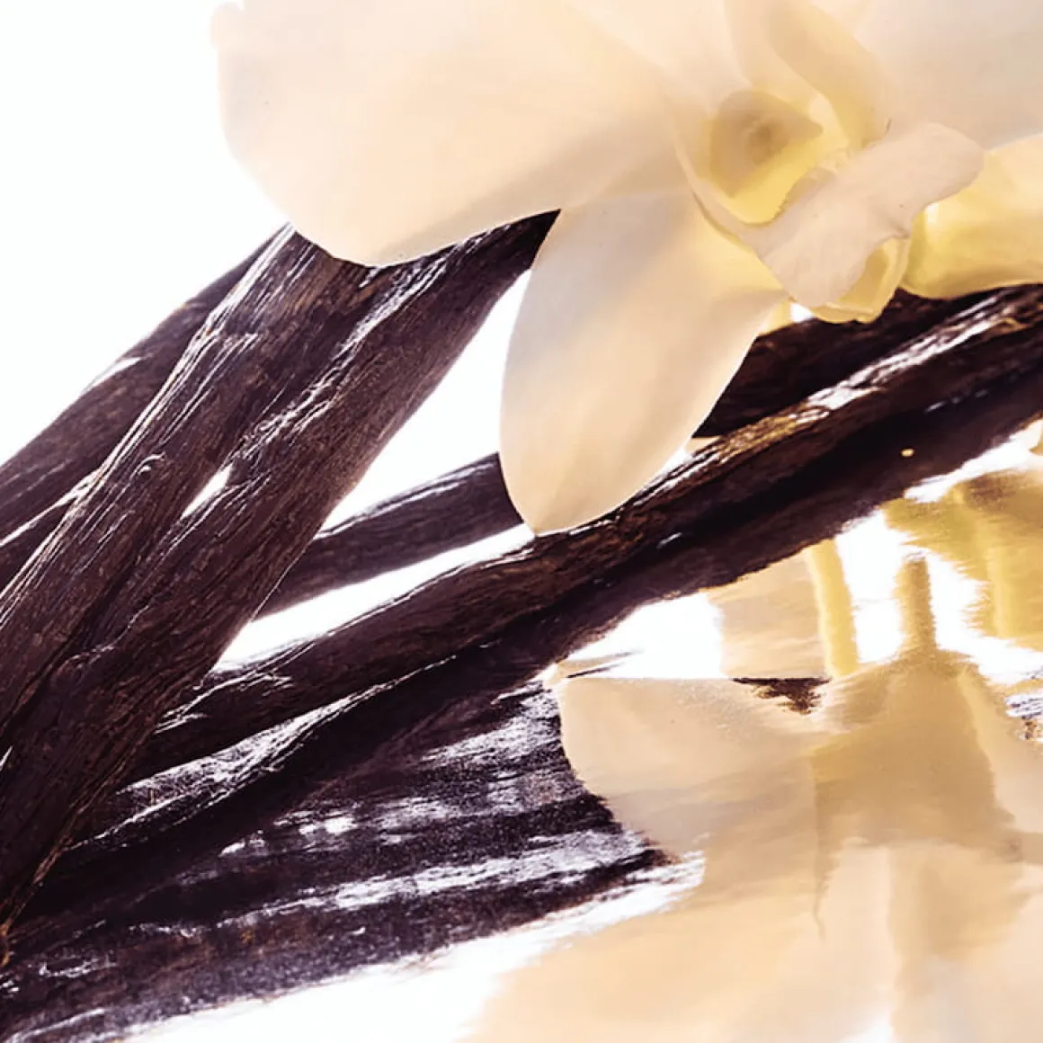 Guerlain - Shalimar - Eau de Toilette