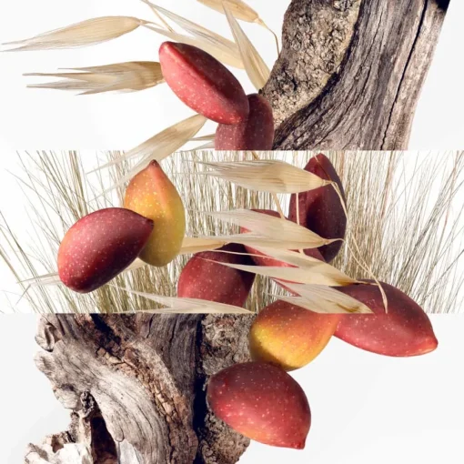 Hermès - Un Jardin à Cythère - Eau de Toilette