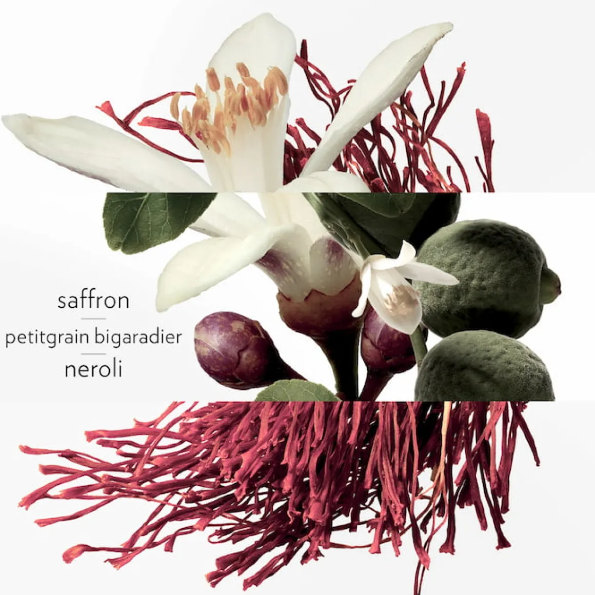 Hermès - Eau de Néroli Doré - Eau de Cologne