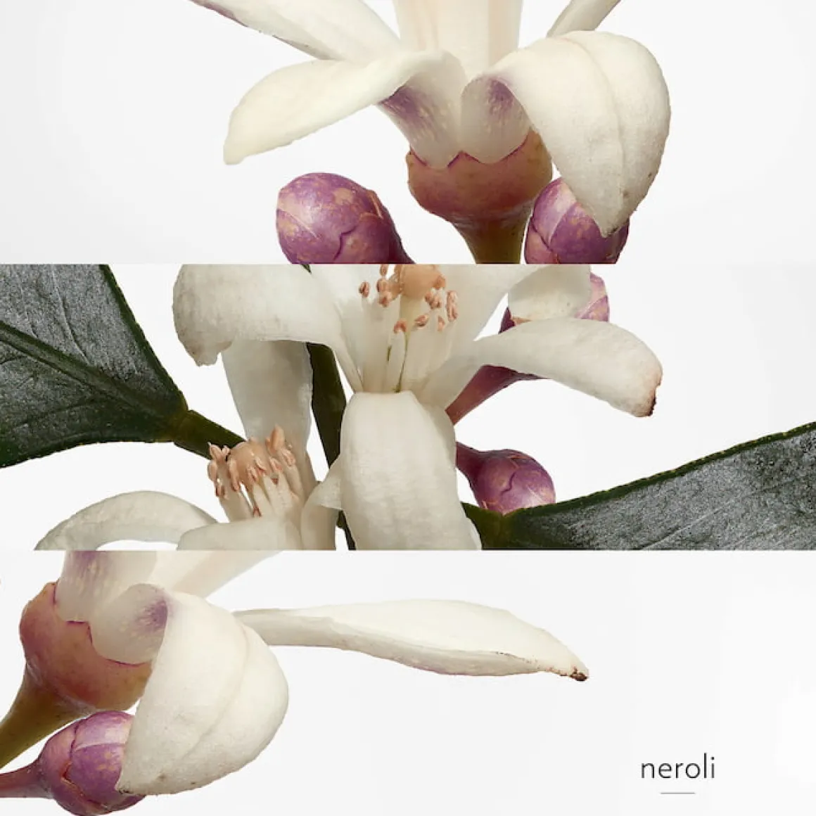 Hermès - Eau de Néroli Doré - Eau de Cologne