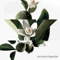 Hermès - Eau de Néroli Doré - Eau de Cologne