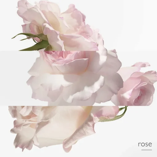 Hermès - Eau de Pamplemousse Rose - Eau de Cologne