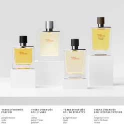 Hermès - Terre d'Hermès Eau Givrée - Eau de Parfum
