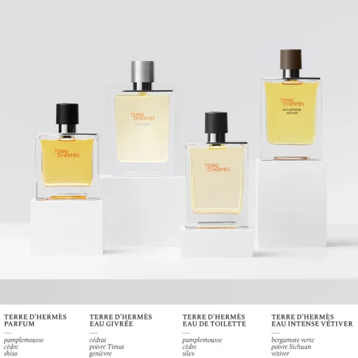 Hermès - Terre d'Hermès Eau Givrée - Eau de Parfum