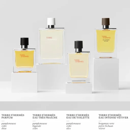 Hermès - Terre d'Hermès Eau Intense Vétiver - Eau de Parfum
