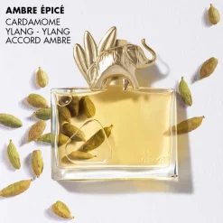 Kenzo - Kenzo Jungle - Eau de Parfum