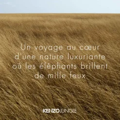 Kenzo - Kenzo Jungle - Eau de Parfum