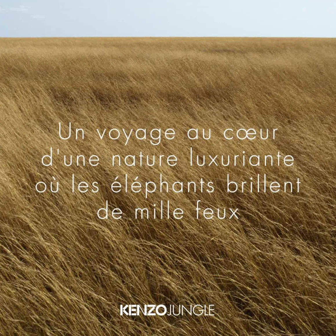 Kenzo - Kenzo Jungle - Eau de Parfum