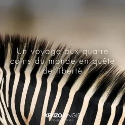 Kenzo - Kenzo Jungle pour Homme - Eau de Toilette Vaporisateur 100 ml