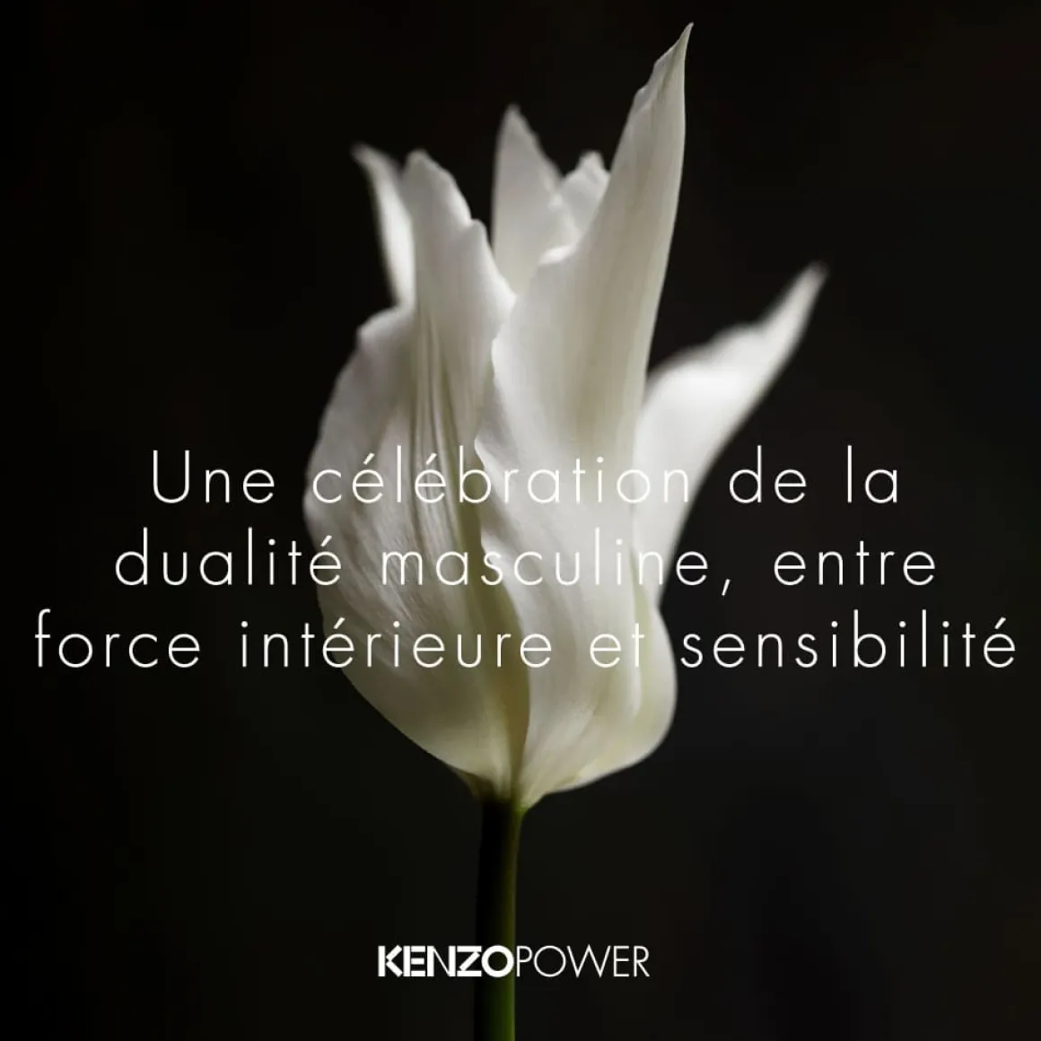 Kenzo - Kenzo Power - Eau de Toilette Vaporisateur 75 ml