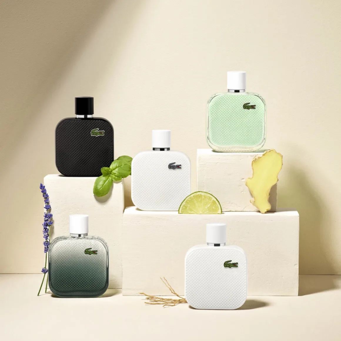 Lacoste - Eau de Lacoste L.12.12 Blanc Eau Intense