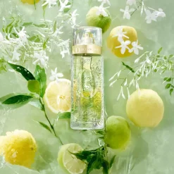 Lancôme - Ô de Lancôme - Eau de Toilette