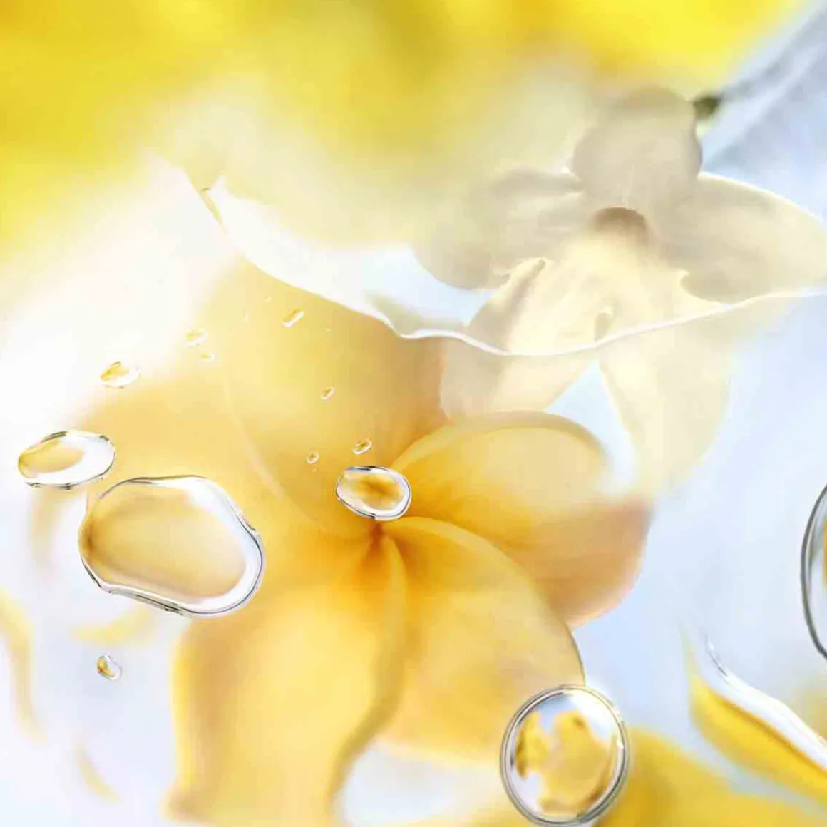 Lancôme - Ô de Lancôme Ô ZENITH - Eau de toilette Vaporisateur 100ml