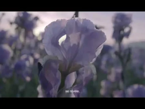Lancôme - La Vie est Belle Iris Absolu - Eau de Parfum