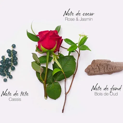 Mauboussin - Mauboussin Elixir pour Elle - Eau de Parfum