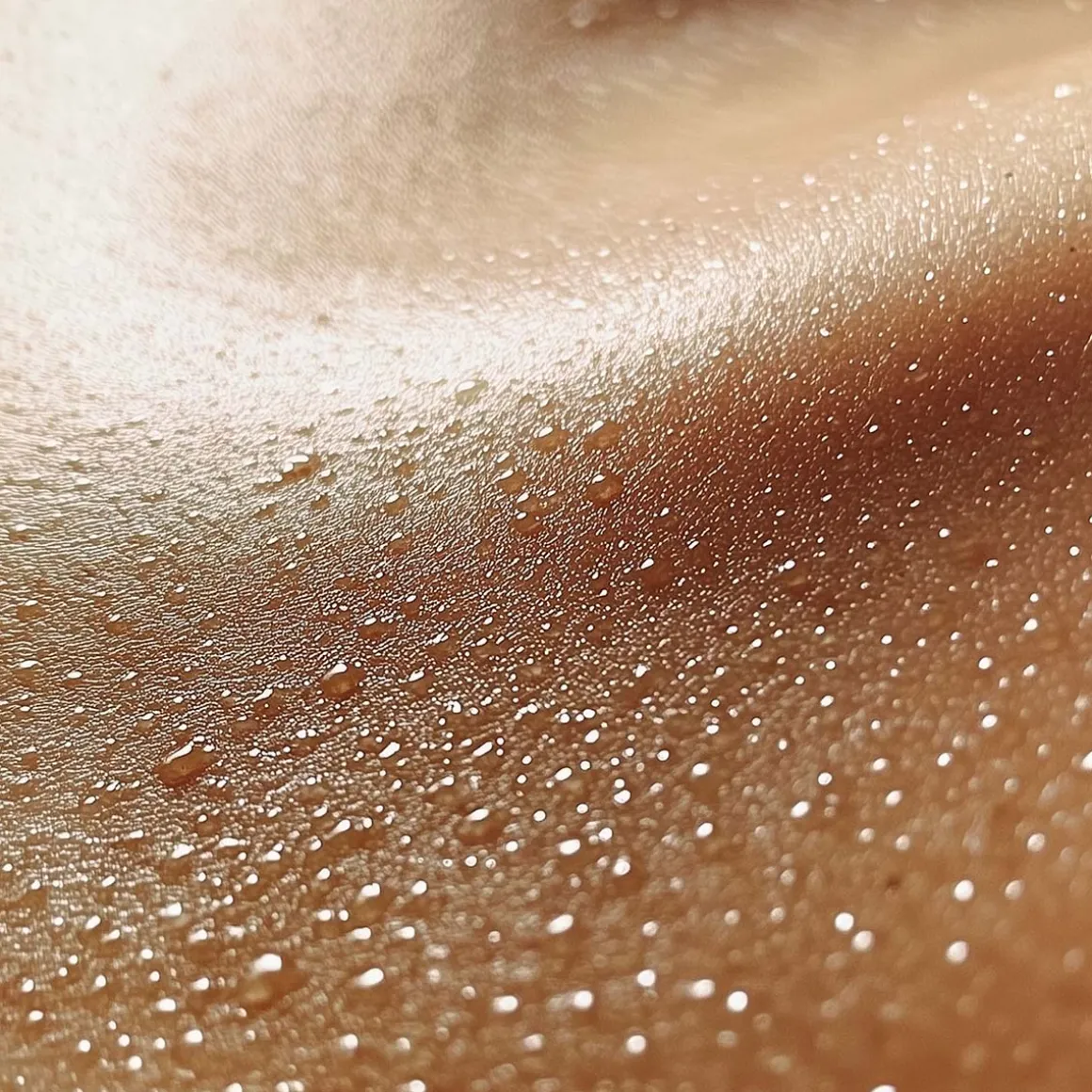 Paalm Cosmetics - Tropical Kiss - Brume de Parfum 100 ml