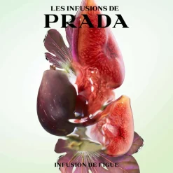 Prada - Infusion de Figue - Eau de Parfum Vaporisateur 100 ml