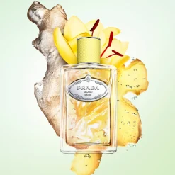 Prada - Infusion de Gingembre - Eau de Parfum Vaporisateur 100 ml