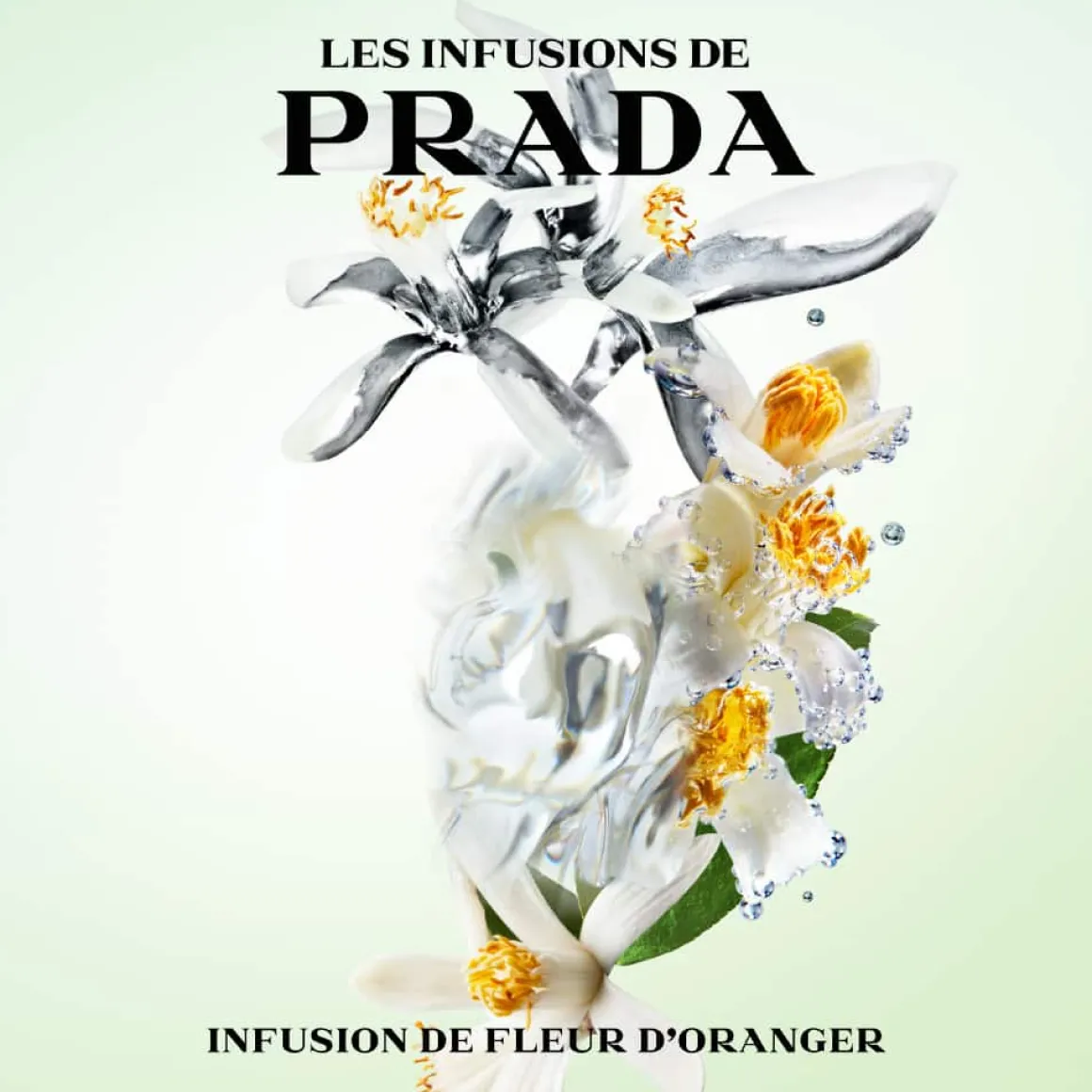 Prada - Infusion Fleur d'Oranger - Eau de Parfum