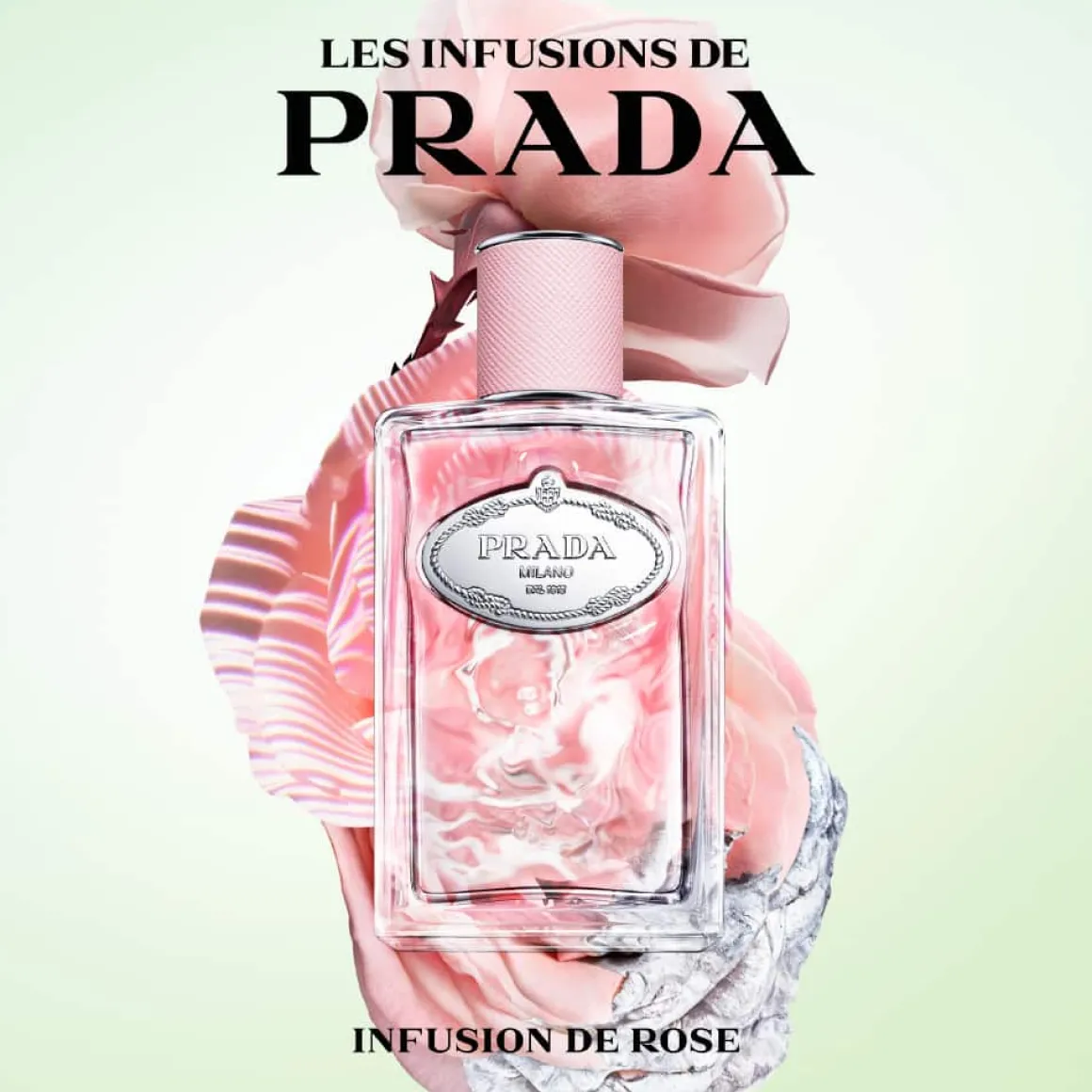 Prada - Infusion Rose - Eau de Parfum