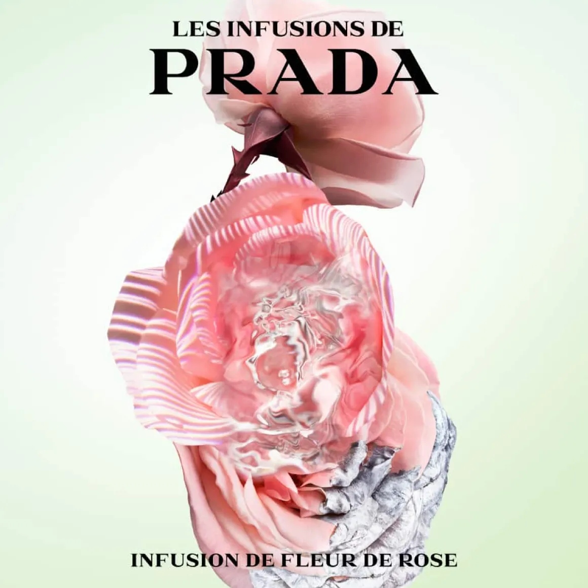 Prada - Infusion Rose - Eau de Parfum