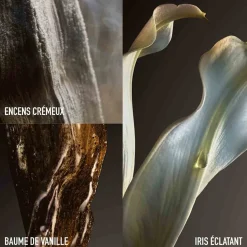 Rabanne - Fame Couture Eau de parfum - Edition limitée 80 ml