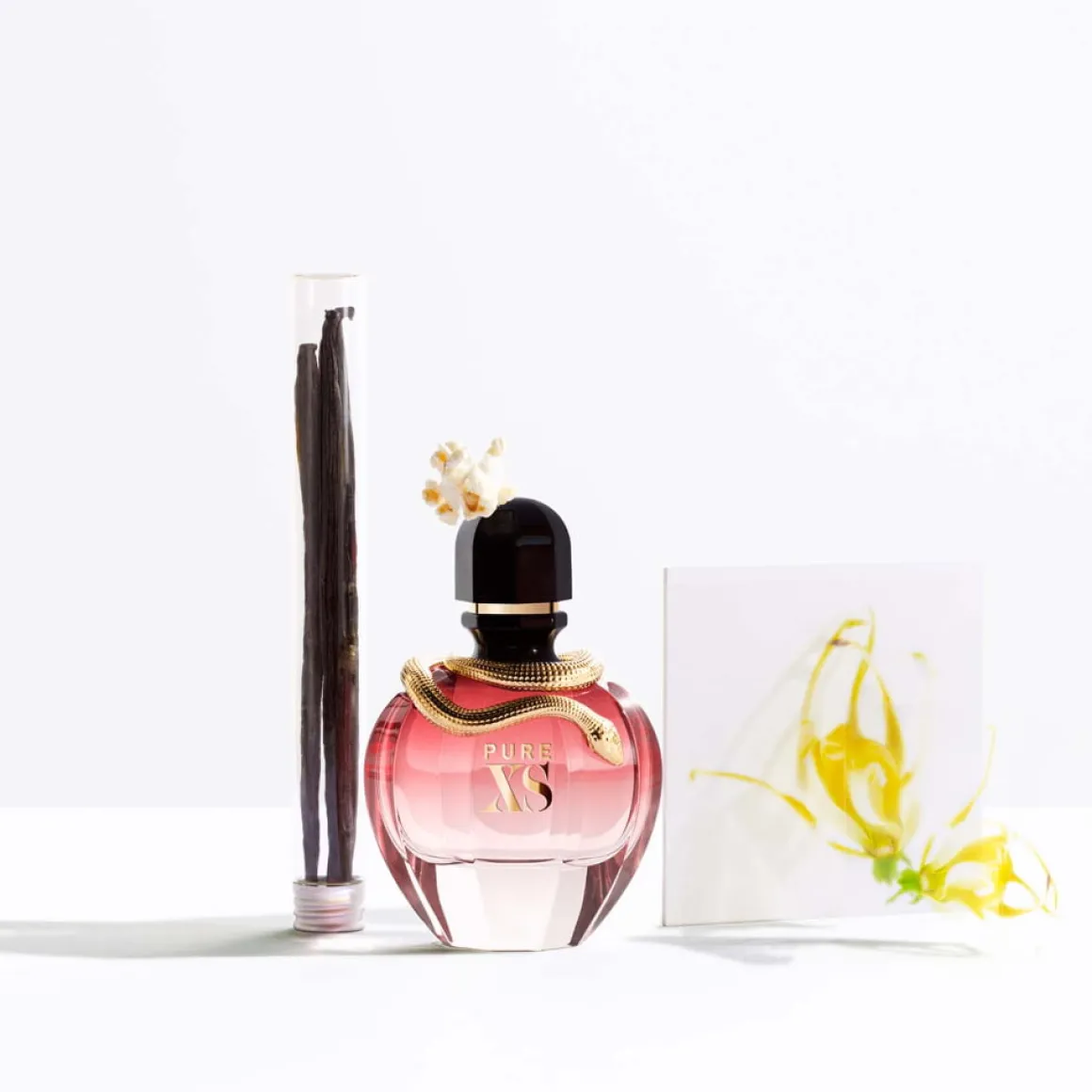 Rabanne - Pure XS for Her - Eau de Parfum