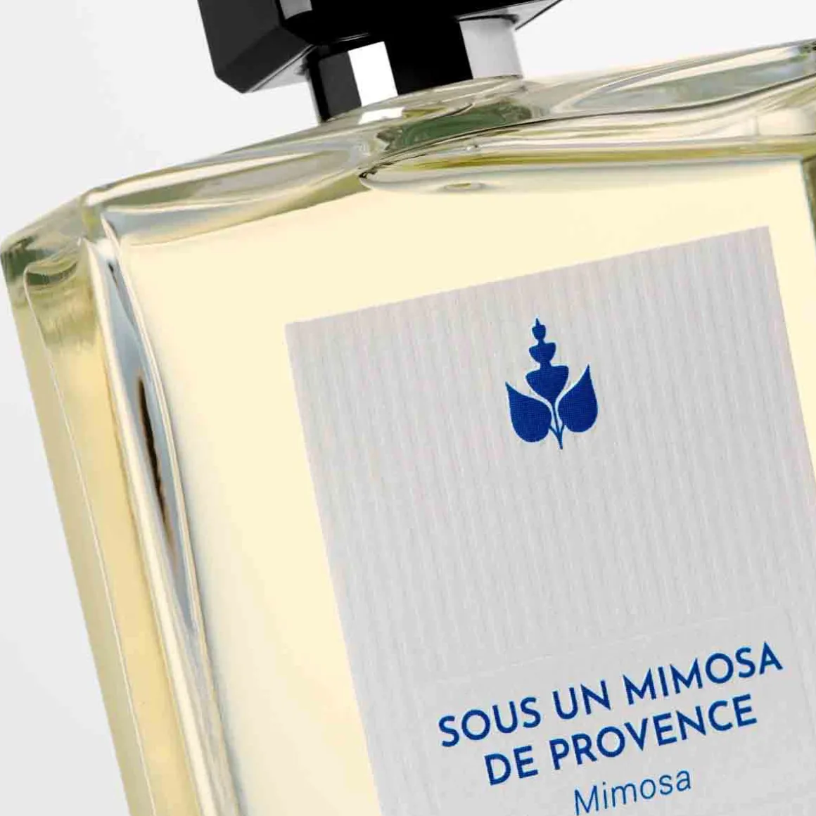 Reminiscence - Sous un Mimosa de Provence - Eau de Toilette Intense