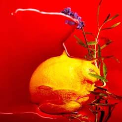 Roger & Gallet - Coffret Jean Marie Farina - Eau de Cologne 100ml + Savon 100g