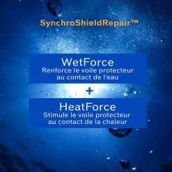 Shiseido - Stick Solaire Transparent SPF 50+