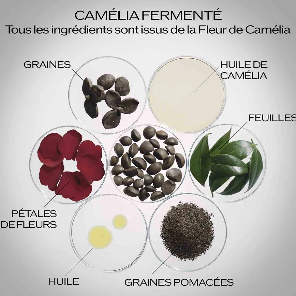 Shiseido - Ultimune - Sérum Activateur Energisant